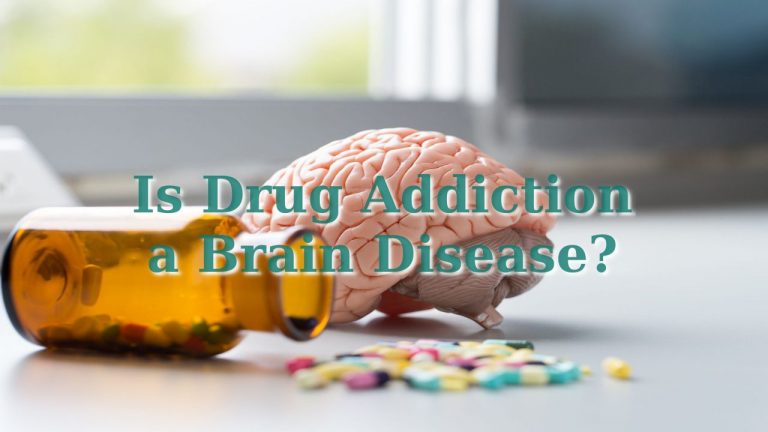 Is Drug Addiction a Brain Disease?